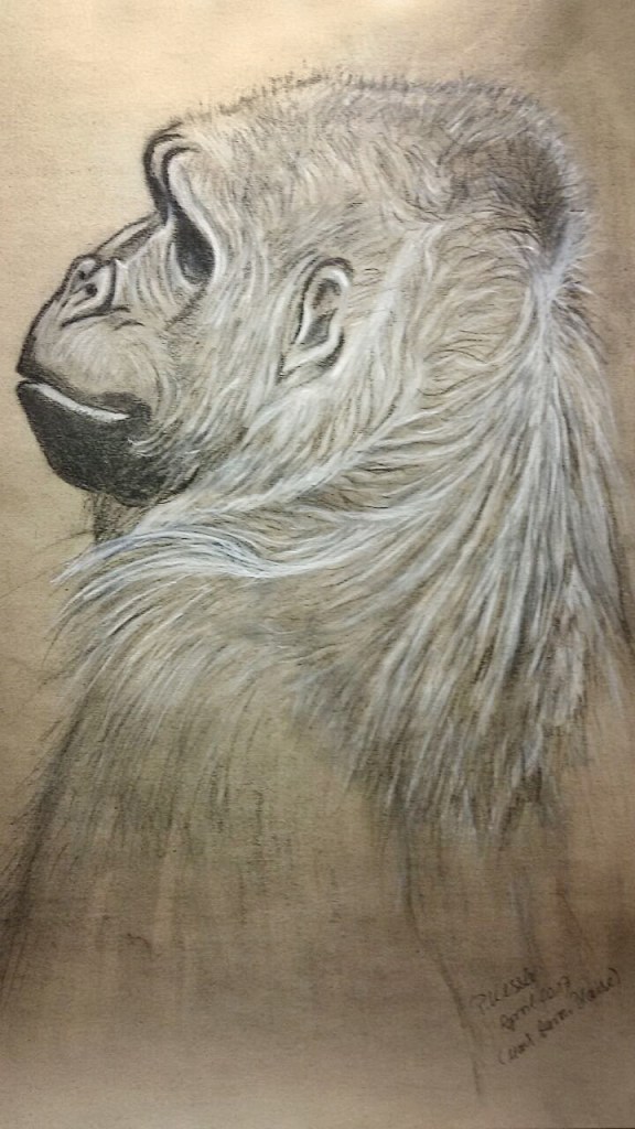 IMG-20170423-WA0000 neu