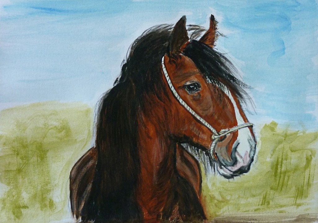 Pferdeporträt neu