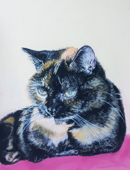 Paddy